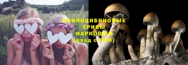 синтетический гашиш Беломорск