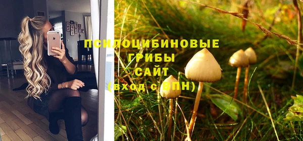 МДПВ Белокуриха