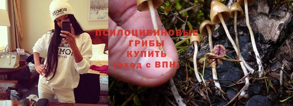 эйфоретик Белоозёрский