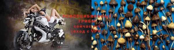 не бодяженный Баксан
